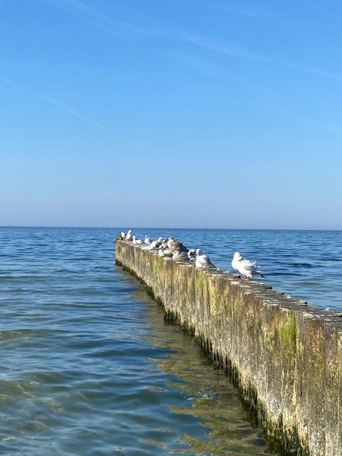 Apartament Kolobrzeg Resort 外观 照片